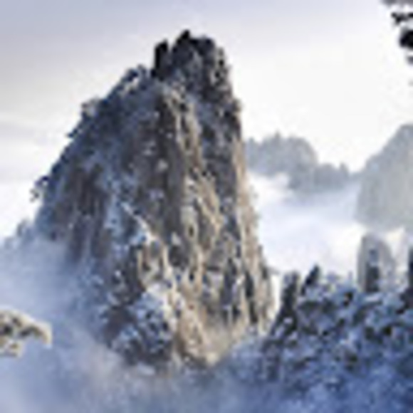 Meet your Posher, Samantha - Picture 1 of 1